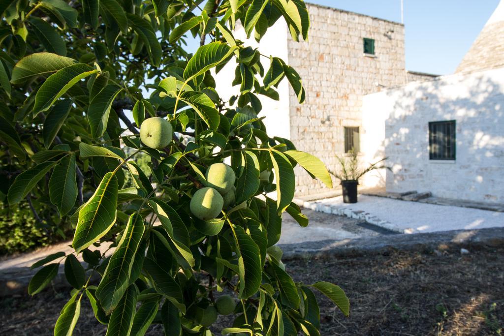 Maison Milleottocento Cisternino Dış mekan fotoğraf