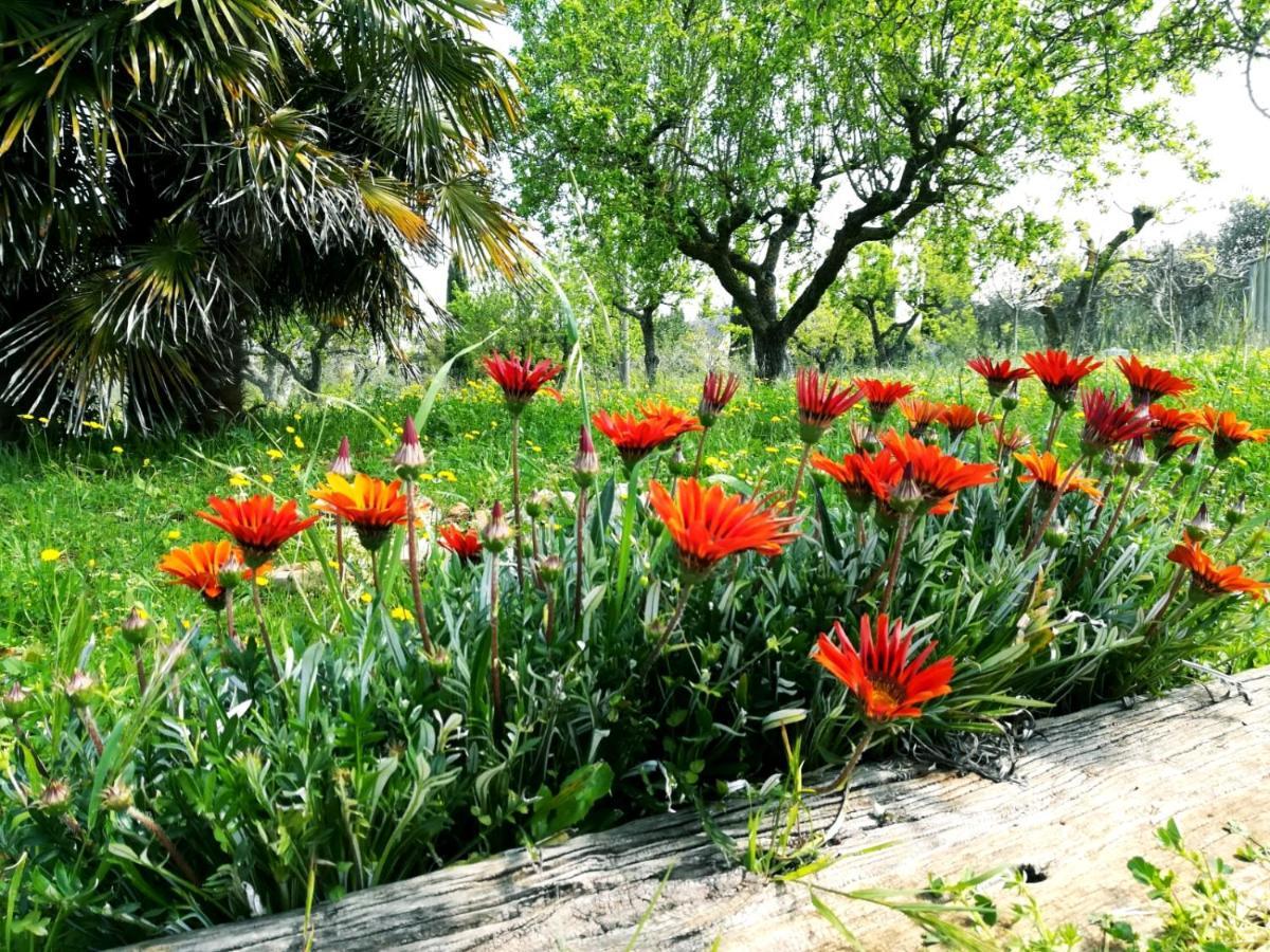 Maison Milleottocento Cisternino Dış mekan fotoğraf